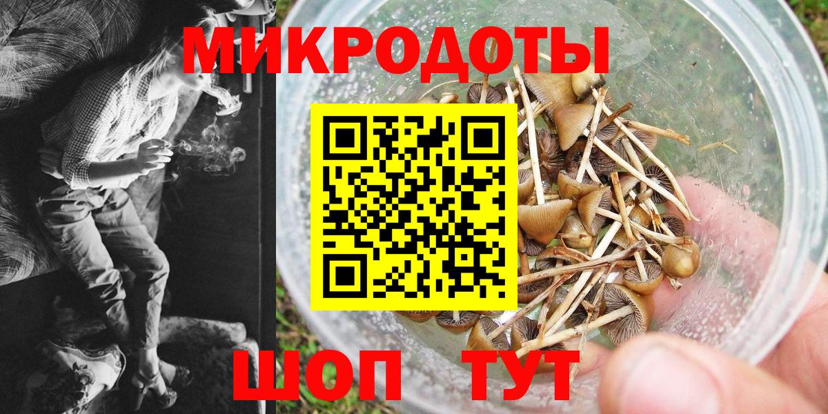 Галлюциногенные грибы мухоморы Ангарск